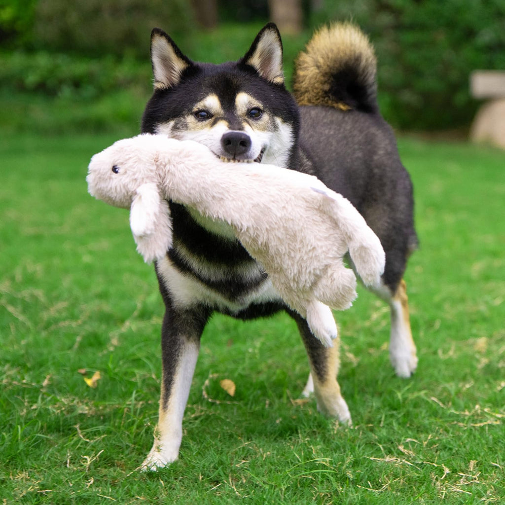 Medium 2-In-1 Stuffless Squeaky Dog Toy - Hare Design