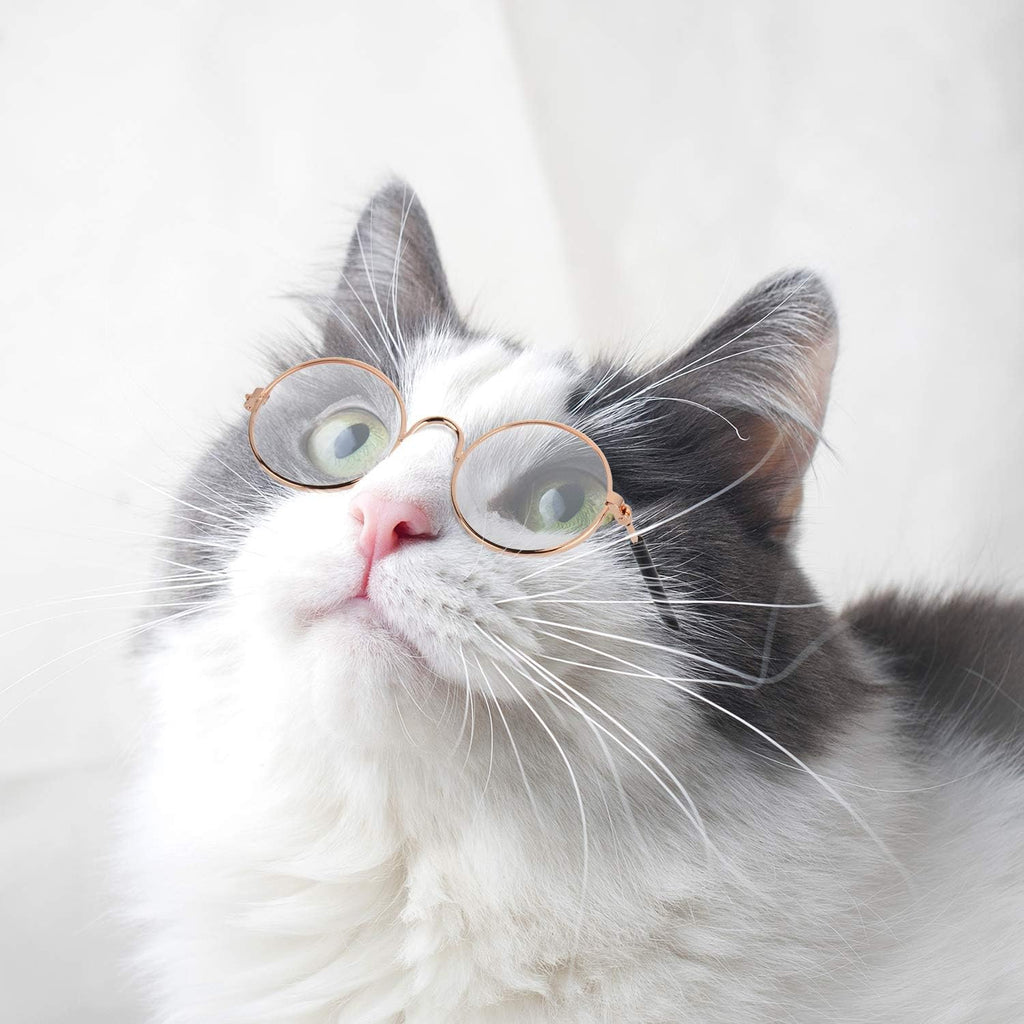 10 Pieces Cat Dog Sunglasses Funny Pet Glasses round Metal Small Classic Retro Sunglasses Pet Hippie Cute Dog Cat Cosplay Party Costume Photo Props Cosplay Glasses(Mixed Color)