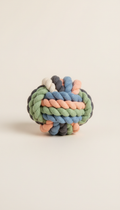 Interactive Rope Chew Toy with Knotted Ends